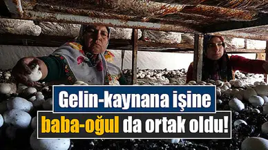 Gelin-kaynana işine baba-oğul da ortak oldu!