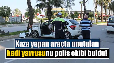 Kaza yapan araçta unutulan kedi yavrusunu polis ekibi buldu!