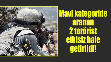 Mavi kategoride aranan 2 terörist etkisiz hale getirildi!