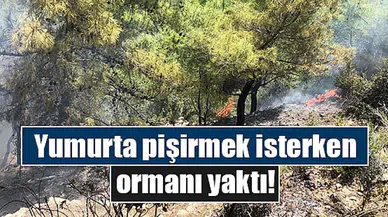 Yumurta pişirmek isterken ormanı yaktı