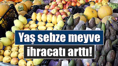 Yaş sebze meyve ihracatı arttı