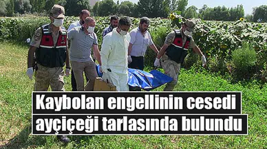 Kaybolan engellinin cesedi ayçiçeği tarlasında bulundu