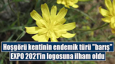 Hoşgörü kentinin endemik türü barış, EXPO 2021'in logosuna ilham oldu