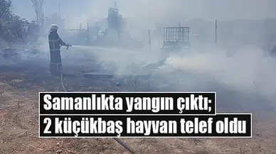 Samanlıkta yangın çıktı; 2 küçükbaş hayvan telef oldu