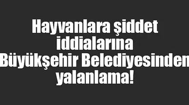 Hayvanlara şiddet iddialarına Büyükşehir Belediyesinden yalanlama