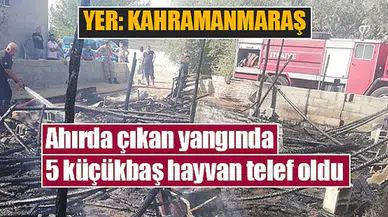 Ahırda çıkan yangında 5 küçükbaş hayvan telef oldu