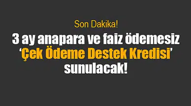 3 ay anapara ve faiz ödemesiz ‘Çek Ödeme Destek Kredisi’ sunulacak!