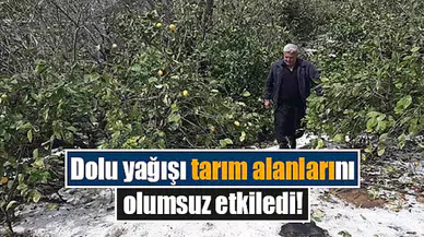 Dolu yağışı tarım alanlarını olumsuz etkiledi!