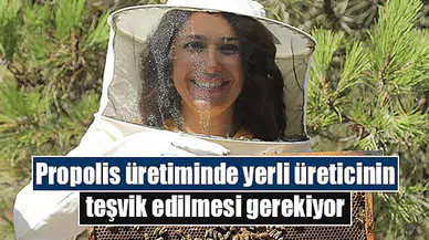 Propolis üretiminde yerli üreticinin teşvik edilmesi gerekiyor