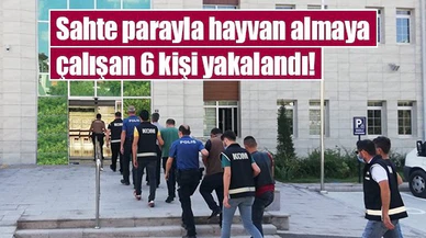 Sahte parayla hayvan almaya çalışan 6 kişi yakalandı