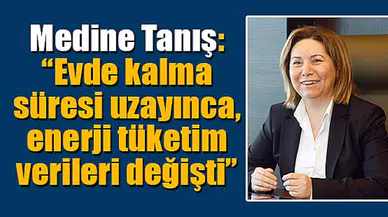 Tanış: “Evde kalma süresi uzayınca, enerji tüketim verileri değişti”