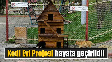 Kedi Evi Projesi hayata geçirildi!