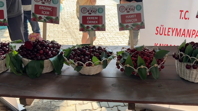 59. Uluslararası Kiraz Festivali başladı