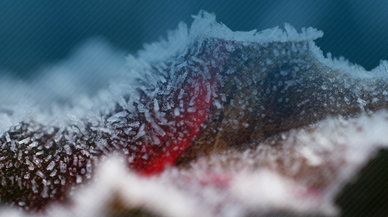 798 milyon çiftçilerin hesaplarına aktarıldı