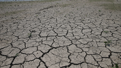 Aşırı hava olayları son 10 yılda 250 milyon kişiyi yerinden etti
