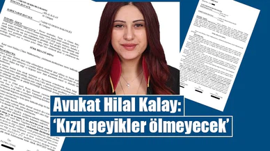 Avukat Hilal Kalay: ‘Kızıl geyikler ölmeyecek’
