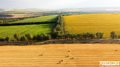 Boş araziler üretime kazandırılıyor: 679 milyon liralık destek paketi