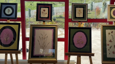 Botanik bahçesindeki bitkileri tablolarla geleceğe taşıyor