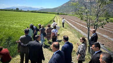 Cezaevlerindeki mahkumlara organik tarım eğitimi verilecek
