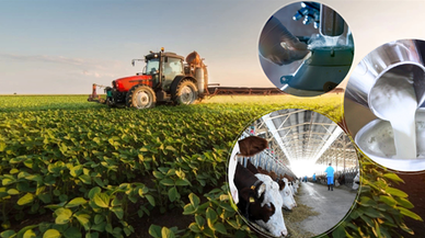 Çiftçilere müjde!  Destekleme ödemesi bugün hesaplara aktarılıyor