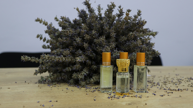 Endemik bitkilerden muhteşem kokular