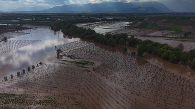 Gediz Nehri taştı, tarım arazileri su altında kaldı