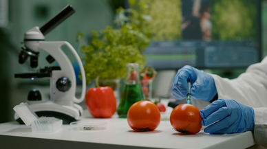 Gıdalarda PFAS denetimi için yeni dönem başladı
