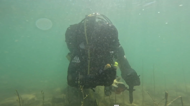 Hayalet ağlarda can çekişen balıklar, jandarma eliyle hayata tutunuyor