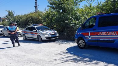 Hayvan parkından kaçan aslan bir kişiyi yaraladı