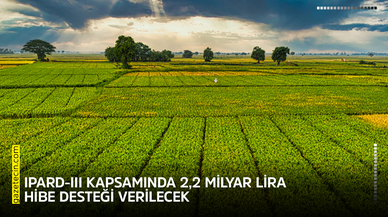 IPARD-III kapsamında 2,2 milyar lira hibe desteği verilecek