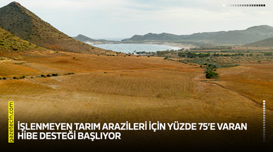 İşlenmeyen tarım arazileri için yüzde 75’e varan hibe desteği başlıyor