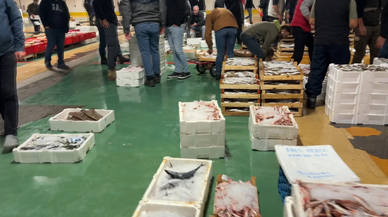İstanbullu balıkçılar bir günlük hasılatını Gazze'ye bağışladı