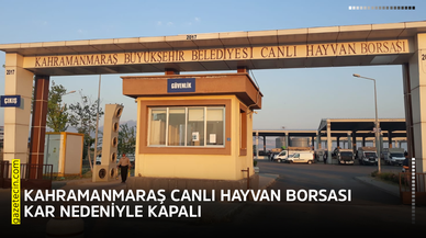 Kahramanmaraş Canlı Hayvan Borsası kar nedeniyle kapalı