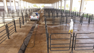 Kahramanmaraş Canlı Hayvan Pazarı’nda üst düzey titizlik