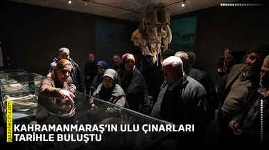 Kahramanmaraş’ın ulu çınarları tarihle buluştu