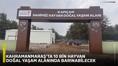 Kahramanmaraş’ta 10 bin hayvan doğal yaşam alanında barınabilecek