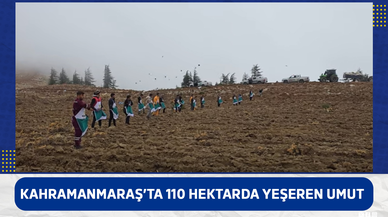 Kahramanmaraş’ta 110 hektarda yeşeren umut