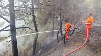 Kahramanmaraş'ta ahır ve arazi yangını