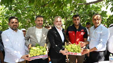 Kahramanmaraş’ta incir üreticisine tam destek!