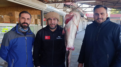 Kahramanmaraş'ta insan büyüklüğünde balık yakalandı