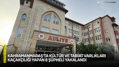 Kahramanmaraş'ta kültür ve tabiat varlıkları kaçakçılığı yapan 8 şüpheli yakalandı