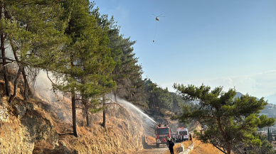 Kahramanmaraş’ta orman yangınına havadan ve karadan müdahale