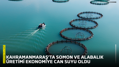 Kahramanmaraş’ta somon ve alabalık üretimi ekonomiye can suyu oldu
