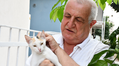 Kalbini açtığı 8 kediye, evinin bahçesine koyduğu kulübelerde bakıyor