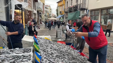 Karadeniz'de hamsi bolluğu tezgahlara yansıdı