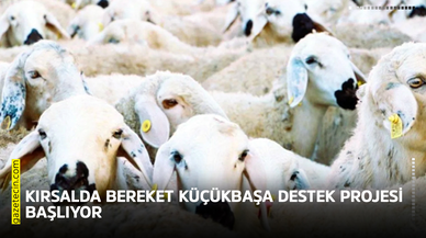 Kırsalda bereket küçükbaşa destek projesi başlıyor