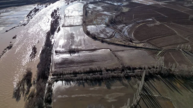 Kızılırmak Nehri'nin taştı, onlarca dönüm ekili arazi su altında kaldı