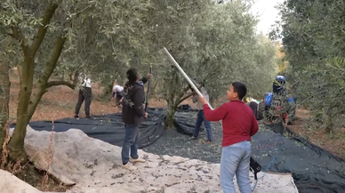 Köy okulunda eğitim sınıflara sığmadı