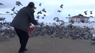 Kuşlara sofra kurmak için her sabah kar kürüyor
