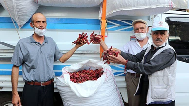 Maraş biberi mezatla satışa çıktı